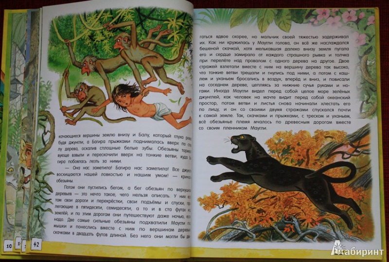 Иллюстрация 53 из 97 для Маугли - Редьярд Киплинг | Лабиринт - книги. Источник: КНИЖНОЕ ДЕТСТВО