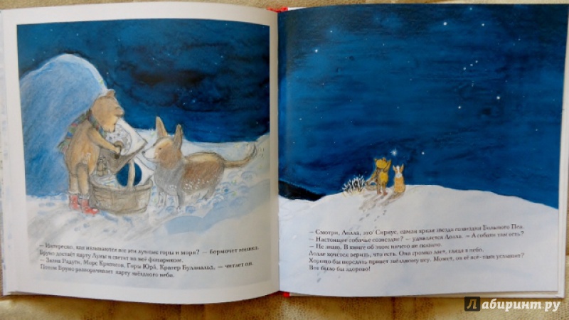 Иллюстрация 22 из 54 для Зима мишки Бруно - Гунилла Ингвес | Лабиринт - книги. Источник: Матти Суоми