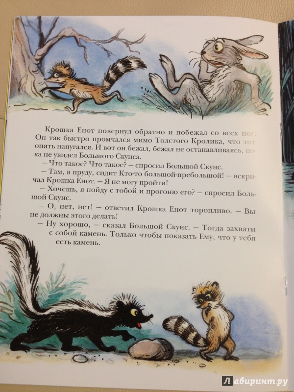 Иллюстрация 16 из 97 для Крошка Енот и тот, кто сидит в пруду - Лилиан Муур | Лабиринт - книги. Источник: antonnnn