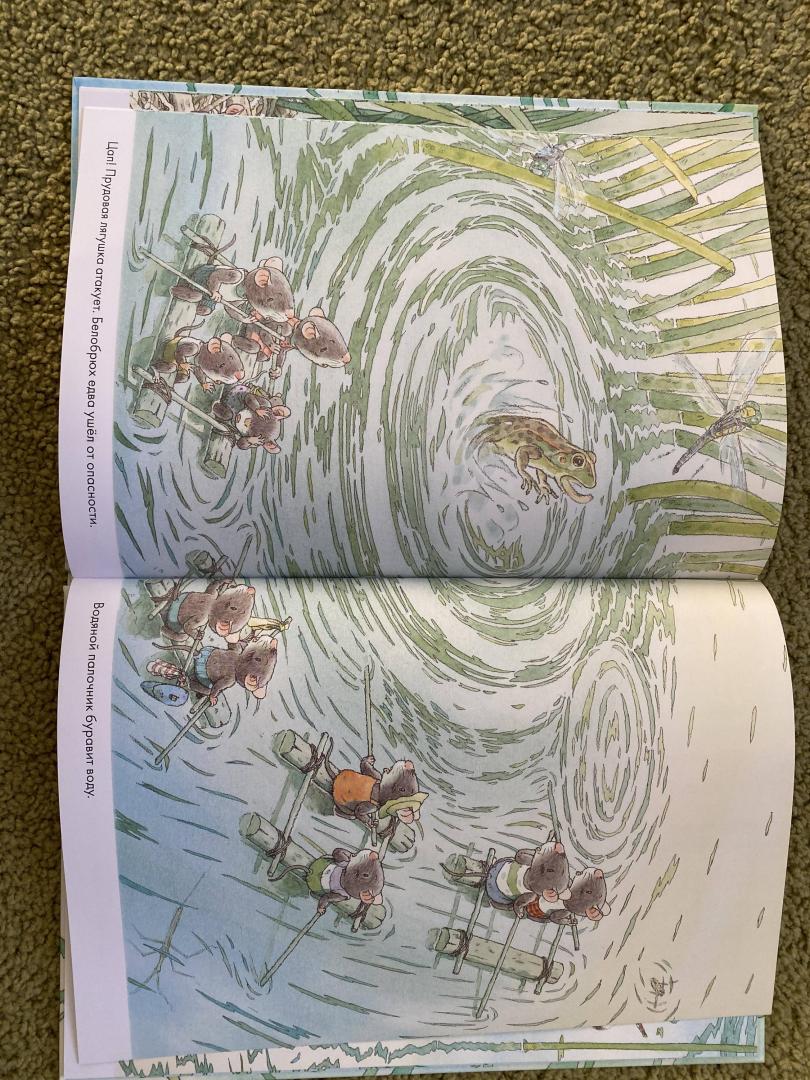 Иллюстрация 38 из 40 для 14 лесных мышей. Стрекозиный пруд - Кадзуо Ивамура | Лабиринт - книги. Источник: Сабитова  Элина