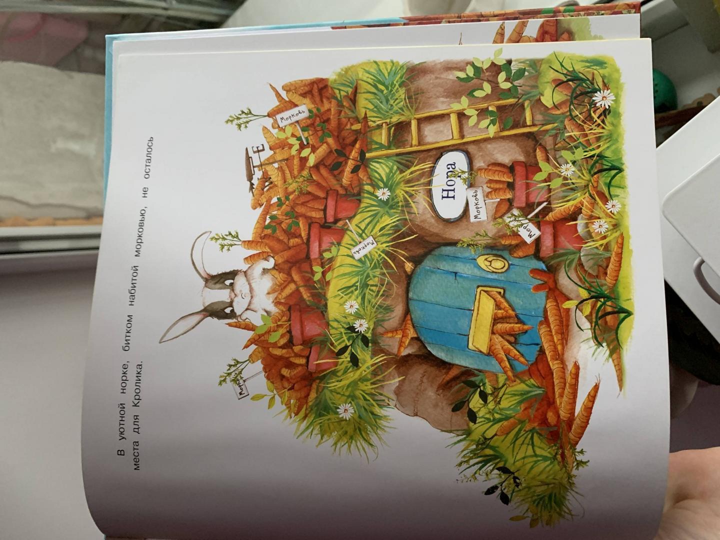 Иллюстрация 49 из 49 для Слишком много моркови - Кэти Хадсон | Лабиринт - книги. Источник: Лабиринт