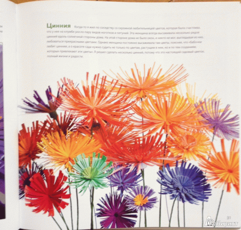 Иллюстрация 5 из 25 для Цветы и букеты из бумаги - Джеффри Руделл | Лабиринт - книги. Источник: Пушкарева  Ирина Владимировна