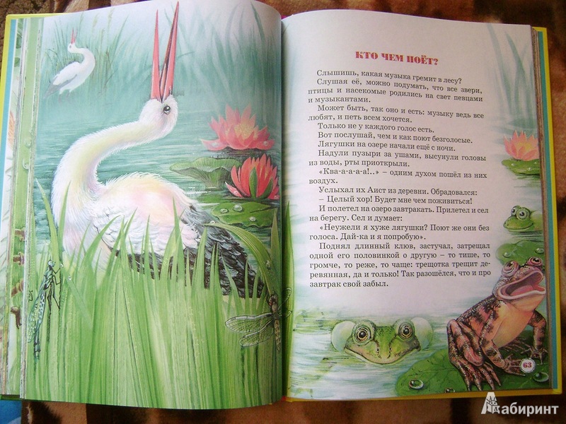 Иллюстрация 11 из 41 для Большая книга сказок - Виталий Бианки | Лабиринт - книги. Источник: Воронина  Елена