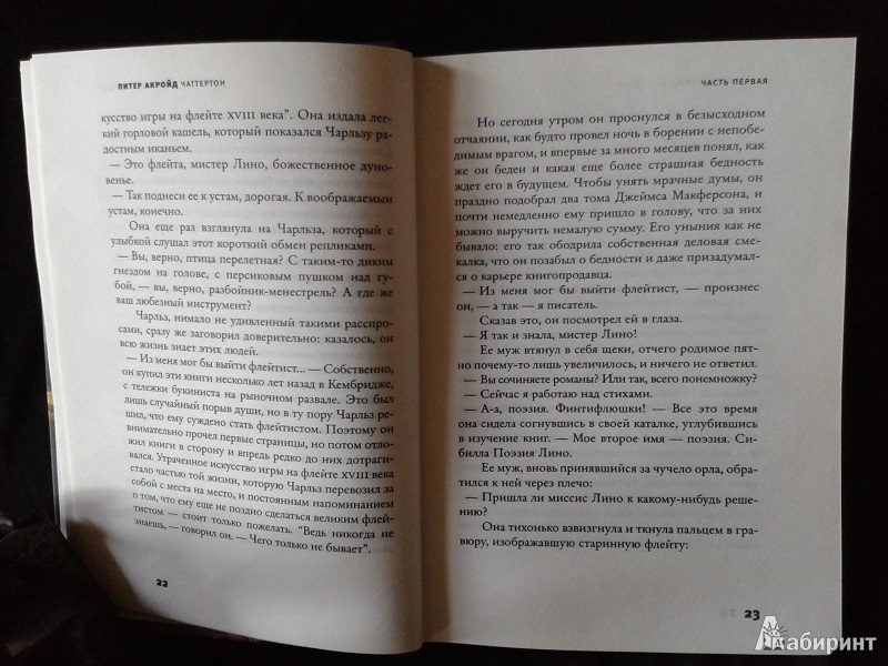 Иллюстрация 8 из 21 для Чаттертон - Питер Акройд | Лабиринт - книги. Источник: Зуева Виктория Сергеевна