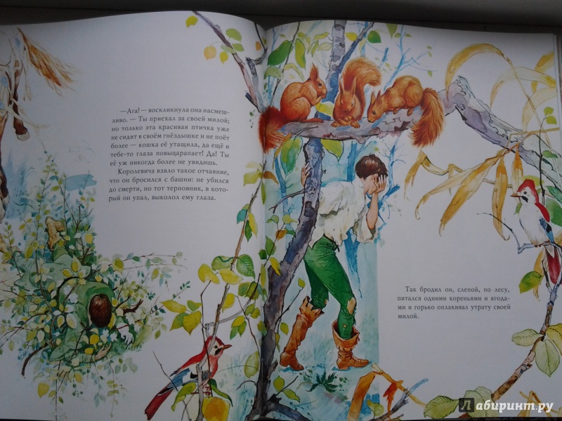 Иллюстрация 58 из 150 для Золотые сказки великих сказочников - Перро, Гримм, Андерсен | Лабиринт - книги. Источник: Olga