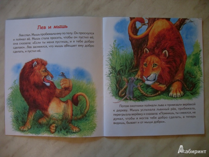 Иллюстрация 3 из 12 для Лев и мышь - Лев Толстой | Лабиринт - книги. Источник: Бутина  Анна