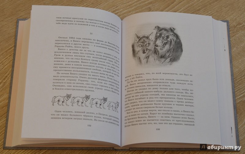 Иллюстрация 29 из 66 для Рассказы о животных. Часть 1 - Эрнест Сетон-Томпсон | Лабиринт - книги. Источник: R.O.S.S.