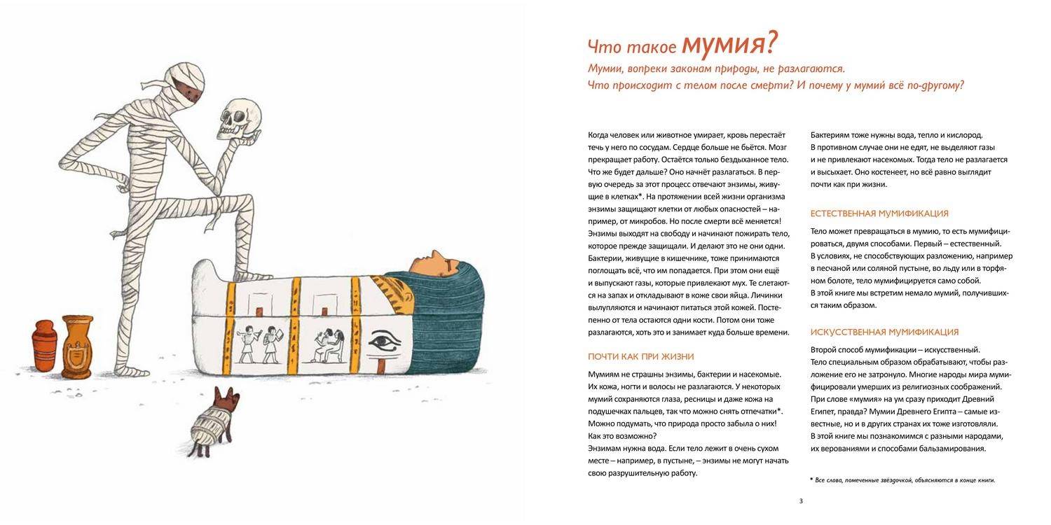 Иллюстрация 5 из 29 для Кто боится мумий? - Флер Дожей | Лабиринт - книги. Источник: Литвина  Александра