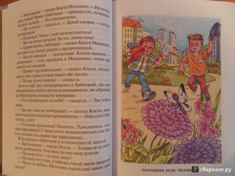Иллюстрация 23 из 55 для Баранкин, будь человеком! - Валерий Медведев | Лабиринт - книги. Источник: Елена