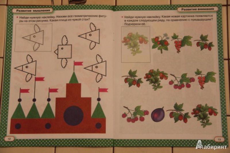 Иллюстрация 8 из 9 для Тесты с наклейками. Что должен знать ваш ребенок. 4-5 лет - Валентина Дмитриева | Лабиринт - книги. Источник: loko-moko