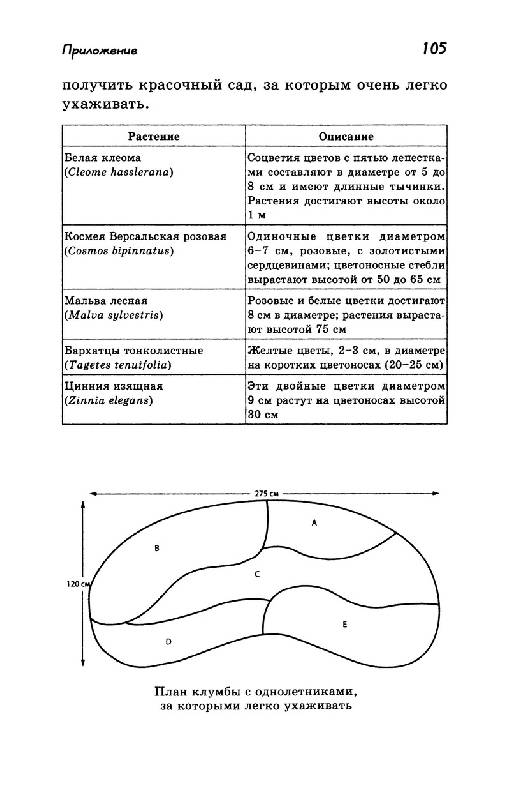 Иллюстрация 10 из 35 для Однолетние цветы рукотворной красоты. Авторитетное руководство по наилучшему выращиванию - Галина Кизима | Лабиринт - книги. Источник: Кошки-мышки