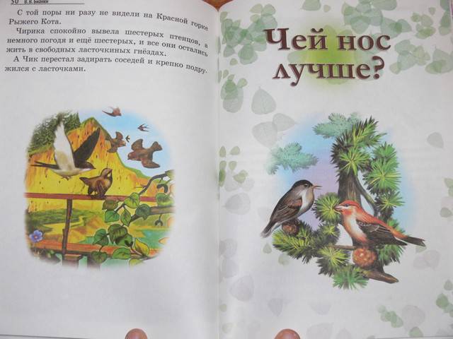 Иллюстрация 14 из 19 для Лесные домишки - Виталий Бианки | Лабиринт - книги. Источник: Irbis