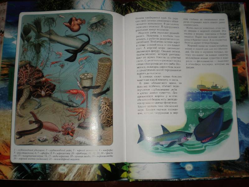 Иллюстрация 17 из 54 для Животный мир нашей планеты - Алексей Клиентов | Лабиринт - книги. Источник: Гостья