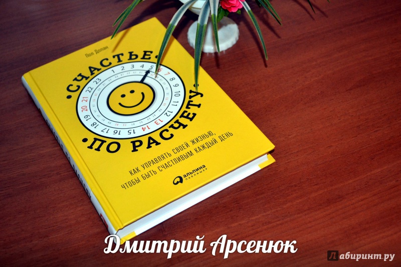 Иллюстрация 31 из 41 для Счастье по расчету. Как управлять своей жизнью, чтобы быть счастливым каждый день - Пол Долан | Лабиринт - книги. Источник: Лабиринт