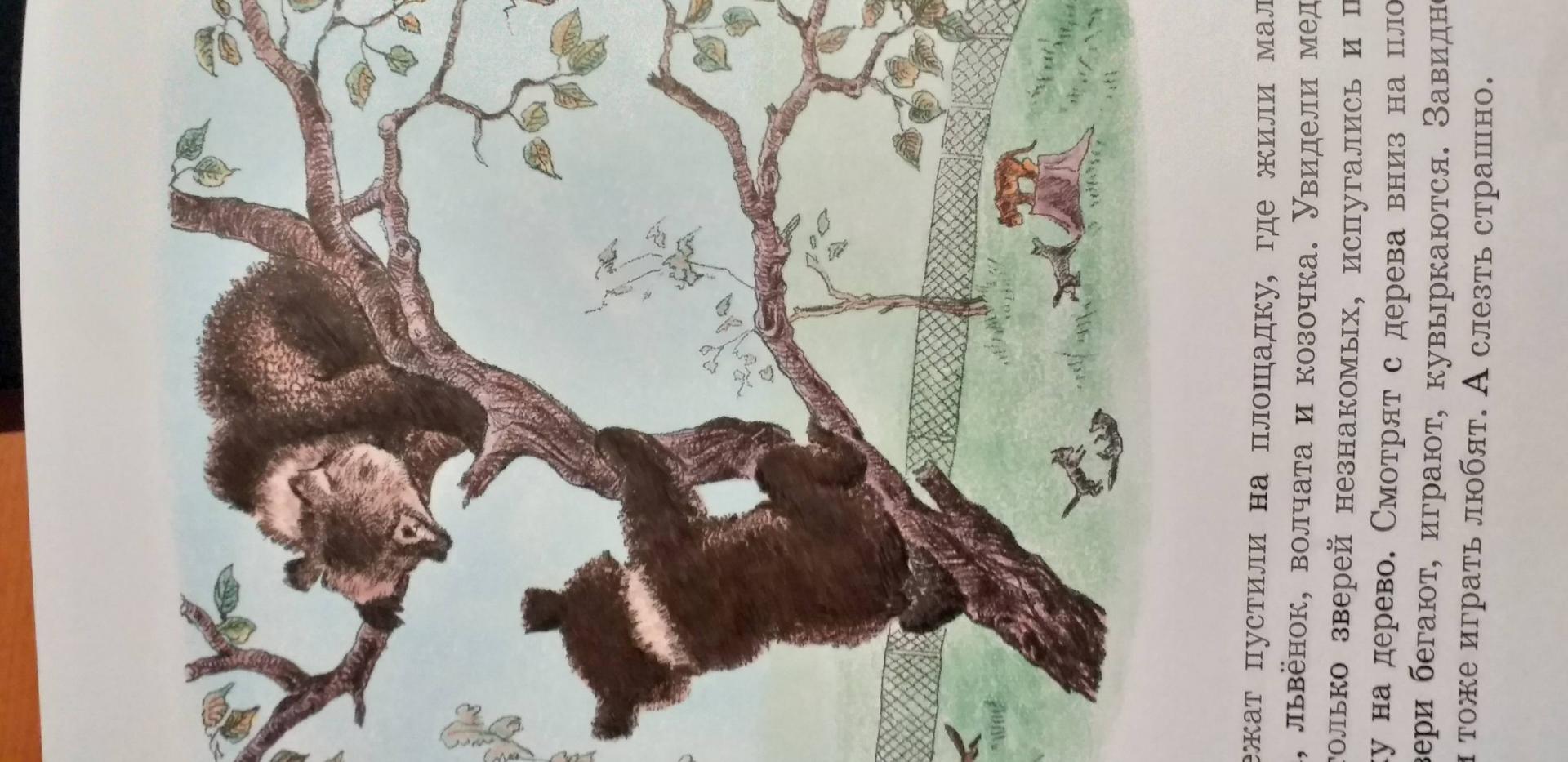 Иллюстрация 31 из 34 для Медвежонок Рычик и его товарищи - Вера Чаплина | Лабиринт - книги. Источник: Лабиринт