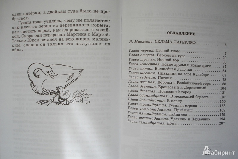 Путешествие с дикими гусями глава. Книга чудесное приключение Нильса. Приключения Нильса с дикими гусями книга. Лагерлёф путешествие Нильса с дикими гусями сколько страниц. Путешествие Нильса с дикими гусями сколько страниц.