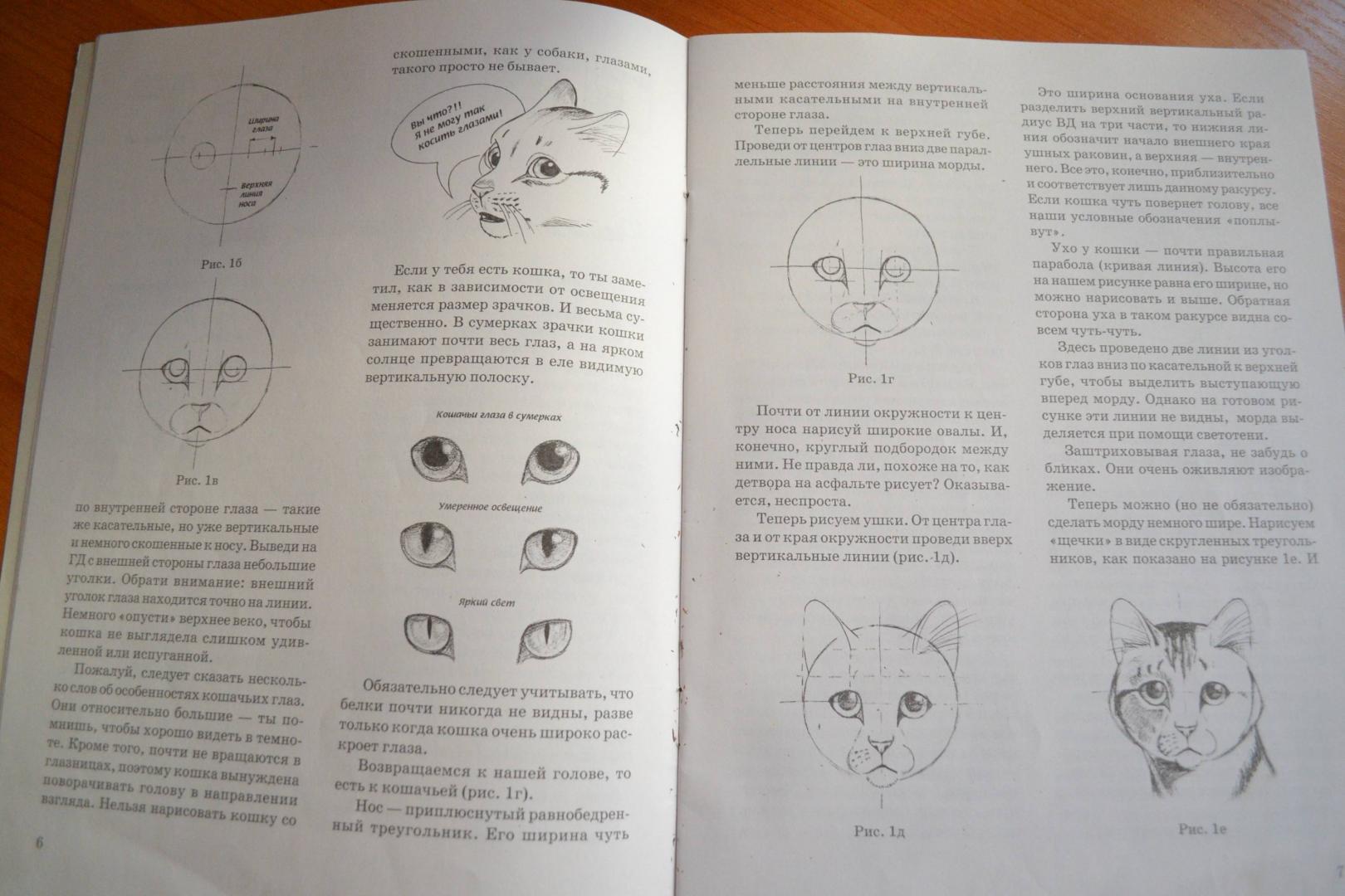 Иллюстрация 5 из 20 для Как нарисовать кошку - Наталья Рымарь | Лабиринт - книги. Источник: Irina Vladimirovna