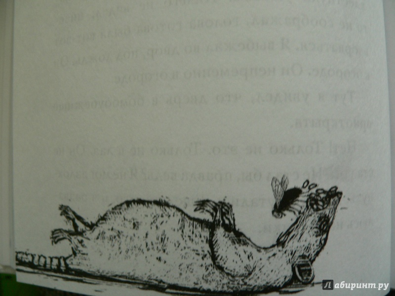 Иллюстрация 64 из 73 для Червивая луна - Салли Гарднер | Лабиринт - книги. Источник: Nisengauz  Ирина