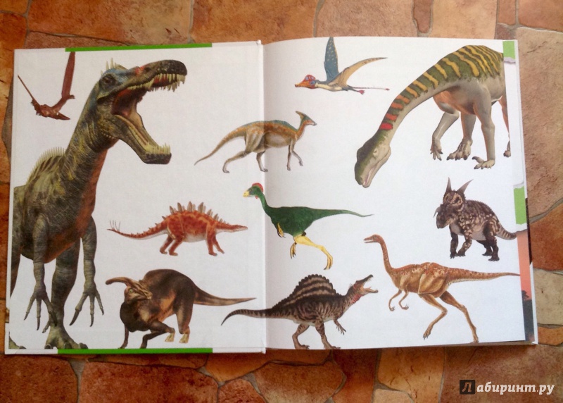 Иллюстрация 21 из 24 для Динозавры - Елена Хомич | Лабиринт - книги. Источник: Хранительница книг