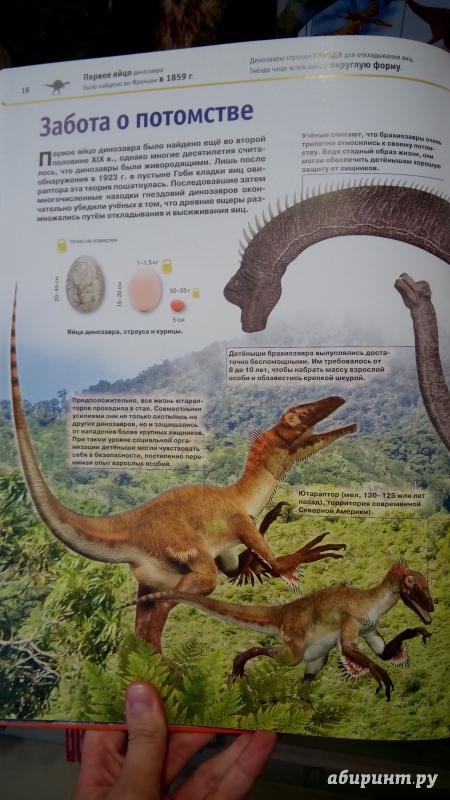 Иллюстрация 17 из 21 для Динозавры - Виктория Владимирова | Лабиринт - книги. Источник: Мила