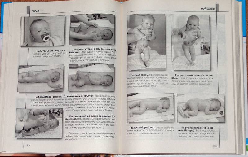 Иллюстрация 10 из 21 для Мать и дитя. Настольная книга будущей мамы | Лабиринт - книги. Источник: Годовёнок