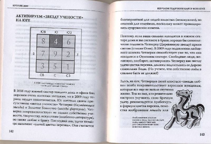 Иллюстрация 2 из 3 для Кролик. Судьба и фэн-шуй: ваш астропрогноз на 2009 год - Лиллиан Ту | Лабиринт - книги. Источник: muss
