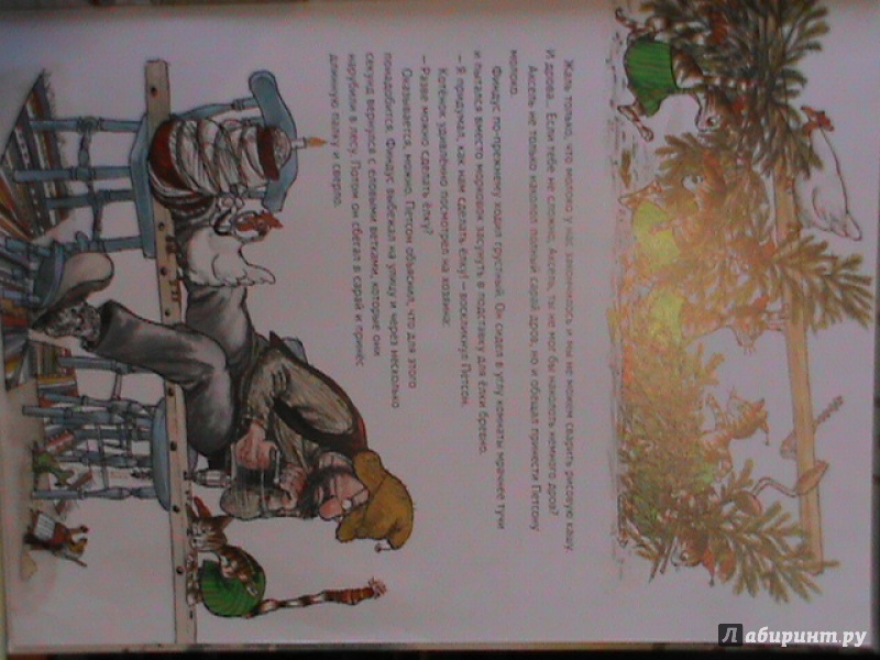 Иллюстрация 66 из 150 для Рождество в домике Петсона - Свен Нурдквист | Лабиринт - книги. Источник: Калачиков  Юрий Александрович