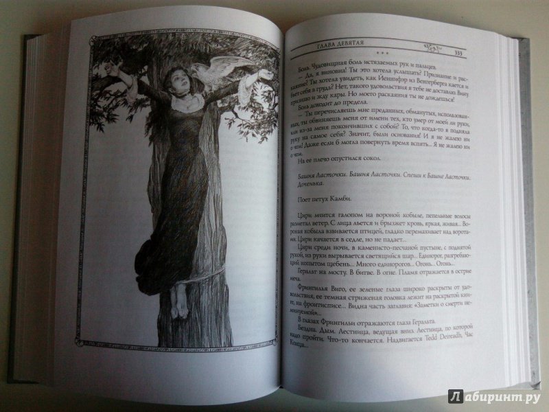 Иллюстрация 39 из 60 для Ведьмак. Башня Ласточки - Анджей Сапковский | Лабиринт - книги. Источник: VALERIYA