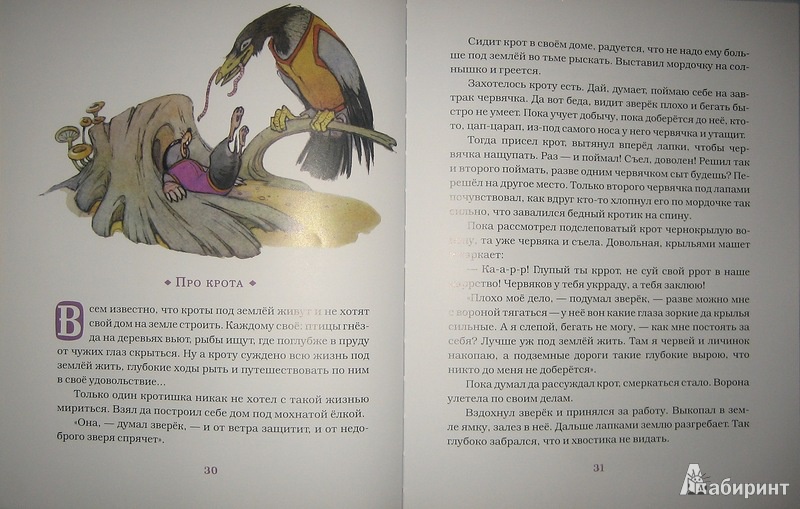 Иллюстрация 16 из 42 для Хитрый волк - Владимир Зотов | Лабиринт - книги. Источник: Трухина Ирина