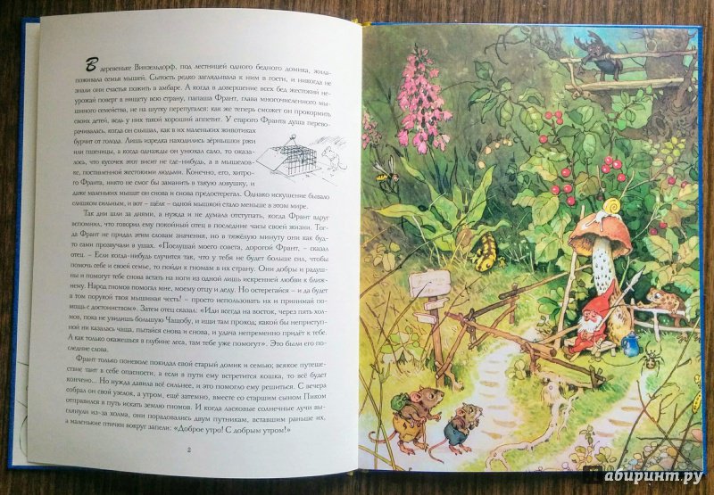 Иллюстрация 66 из 78 для В стране гномов - Эрих Хайнеманн | Лабиринт - книги. Источник: Natalie Leigh