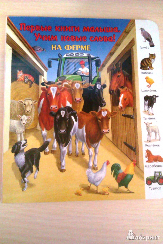 Иллюстрация 9 из 48 для На ферме | Лабиринт - книги. Источник: galchonok755