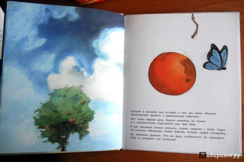 Иллюстрация 9 из 57 для Во всём виноват апельсин - Квентин Гребан | Лабиринт - книги. Источник: Zabava