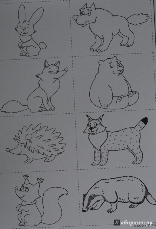 Иллюстрация 5 из 24 для Дикие животные. Интерактивные карточки - Елена Косинова | Лабиринт - книги. Источник: NDusha