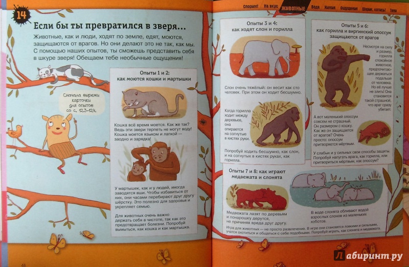 Иллюстрация 11 из 24 для Большая книга простых экспериментов для детей | Лабиринт - книги. Источник: Соловьев  Владимир