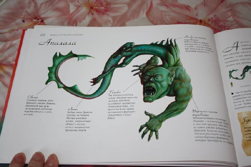 Иллюстрация 11 из 26 для Драконология | Лабиринт - книги. Источник: Шелковица