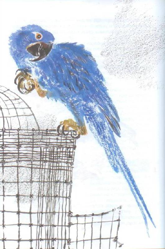 Иллюстрация 19 из 40 для Маленькие рассказы про животных - Сергей Образцов | Лабиринт - книги. Источник: Осьминожка