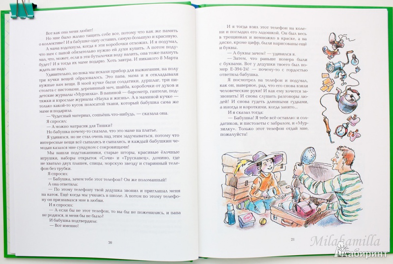 Иллюстрация 43 из 66 для Большое путешествие домой - Елена Ракитина | Лабиринт - книги. Источник: Букландия