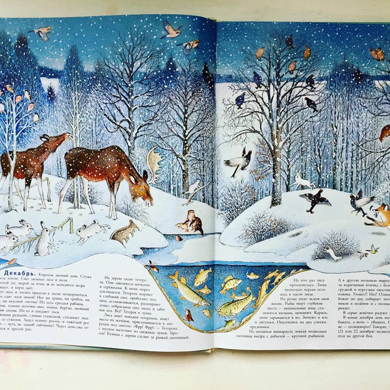 Иллюстрация 93 из 109 для В лесу - Петр Багин | Лабиринт - книги. Источник: Янцевич  Валерия