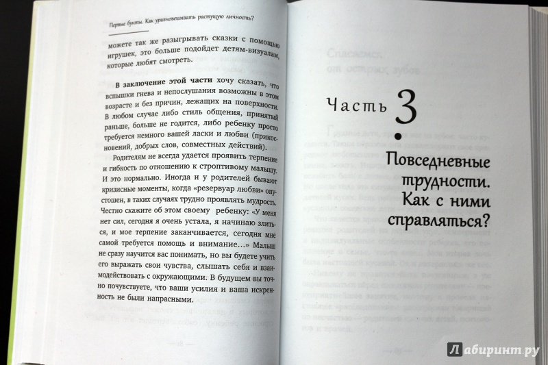 Иллюстрация 25 из 41 для Развитие ребенка. Второй год жизни. Практический курс для родителей - Наталья Кулакова | Лабиринт - книги. Источник: Террил