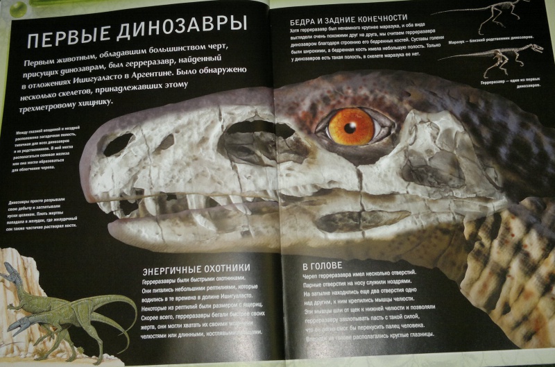Иллюстрация 9 из 26 для Динозавры - Майк Бентон | Лабиринт - книги. Источник: Леонид Сергеев