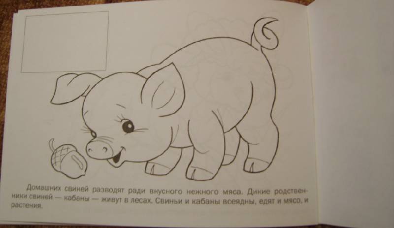 Иллюстрация 22 из 27 для Раскраска с наклейками Домашние животные | Лабиринт - книги. Источник: Tatka