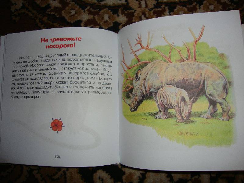 Иллюстрация 9 из 9 для Про зверят - Александр Тихонов | Лабиринт - книги. Источник: Семён