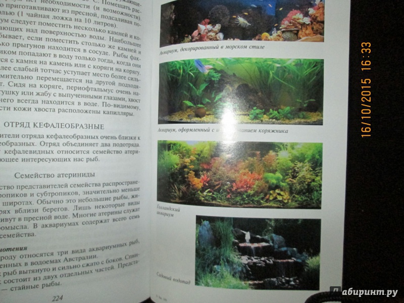 Иллюстрация 5 из 9 для Домашний аквариум | Лабиринт - книги. Источник: Р.Наталья