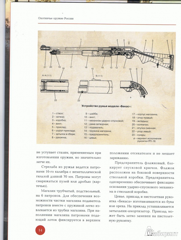 Иллюстрация 4 из 5 для Охотничье оружие России - Виктор Шунков | Лабиринт - книги. Источник: Цветкова  Марина