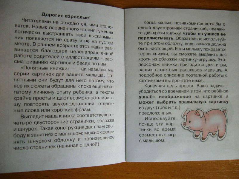 Иллюстрация 14 из 34 для Бе-бе-бе. Формируем навык осознанного чтения (для детей от 6 месяцев + методичка) - Юлия Разенкова | Лабиринт - книги. Источник: NATALEX