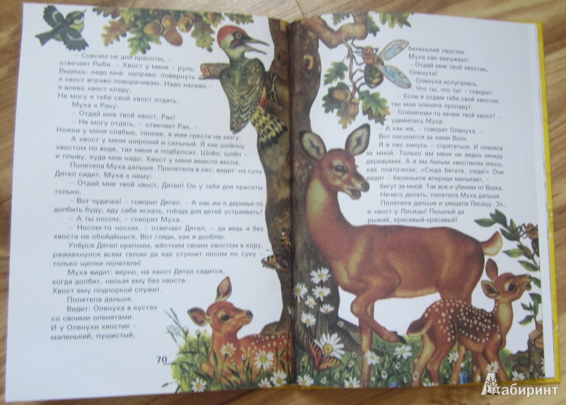 Иллюстрация 13 из 26 для Сказки и рассказы о животных - Виталий Бианки | Лабиринт - книги. Источник: ver-ira
