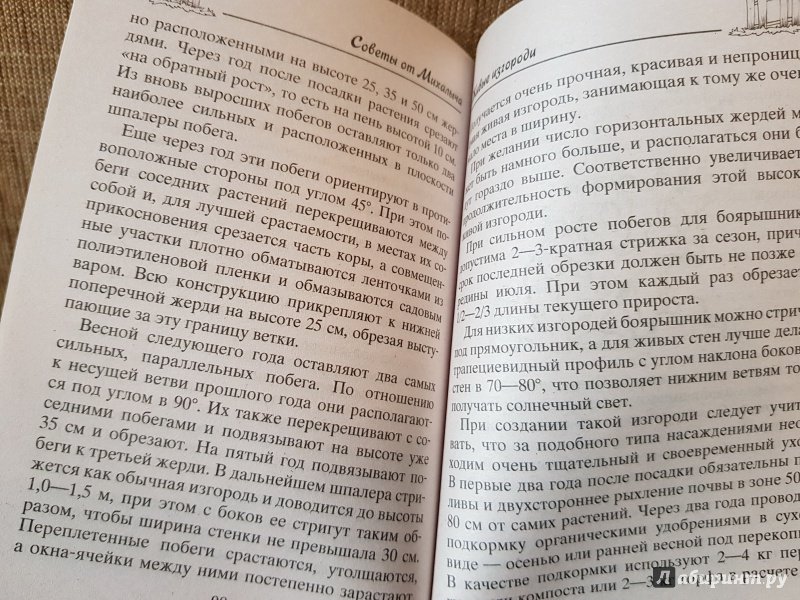 Иллюстрация 6 из 40 для Изгороди и заборы своими руками. Деревянные, металлические, живые - Николай Звонарев | Лабиринт - книги. Источник: Алексей Гапеев