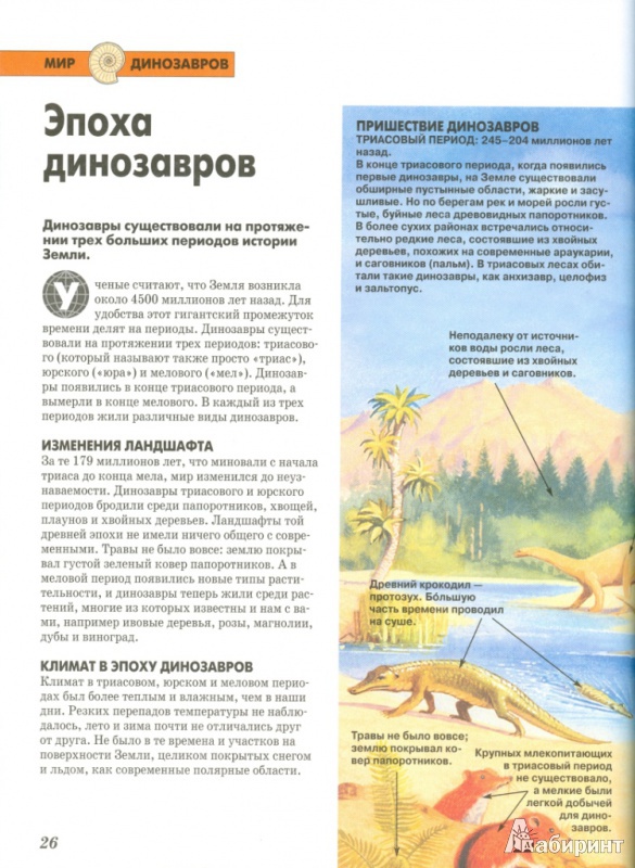 Иллюстрация 5 из 12 для Динозавры | Лабиринт - книги. Источник: Телицына  Ольга