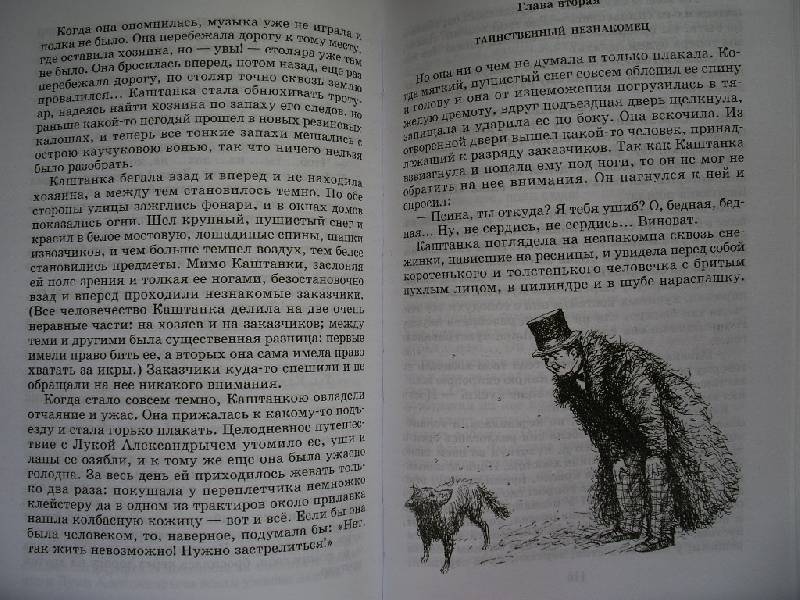 Иллюстрация 20 из 22 для Лошадиная фамилия - Антон Чехов | Лабиринт - книги. Источник: Tiger.