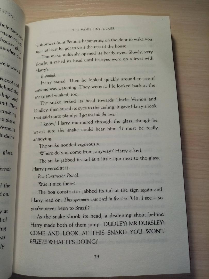 Иллюстрация 27 из 33 для Harry Potter and the Philosopher's Stone - Joanne Rowling | Лабиринт - книги. Источник: Сапа  Наталья